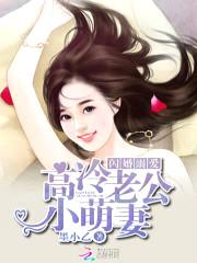 闪婚溺爱：高冷老公小萌妻